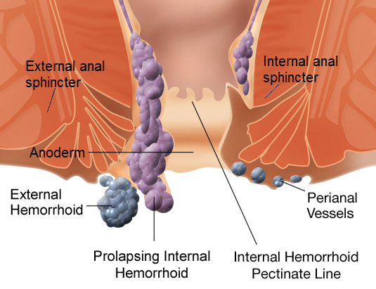 best gastroenterologist beverly hills