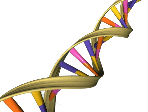 best gastroenterologist beverly hills